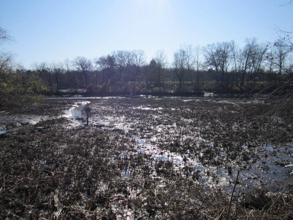 Riverton Mud Area