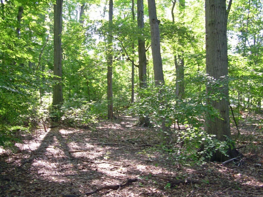 Van Saun Park