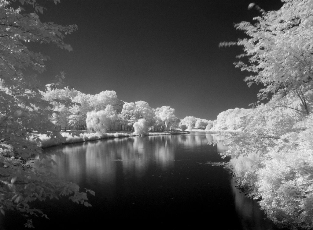 Van Saun Park - On the Bridge Looking South
