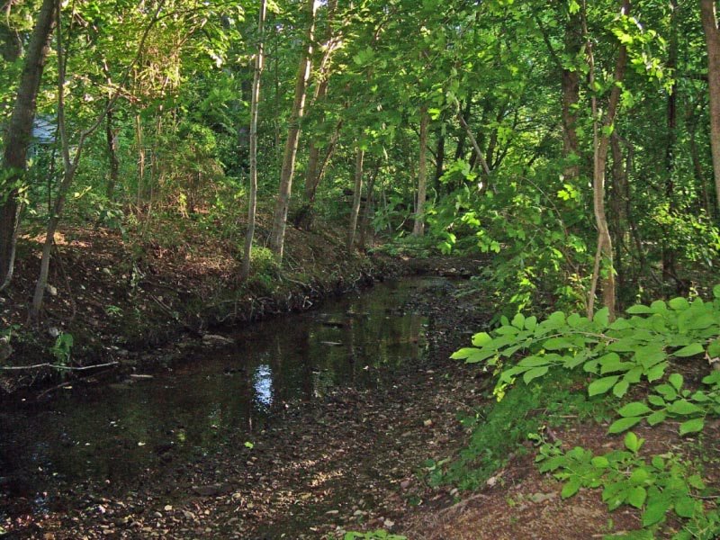 Staib Park