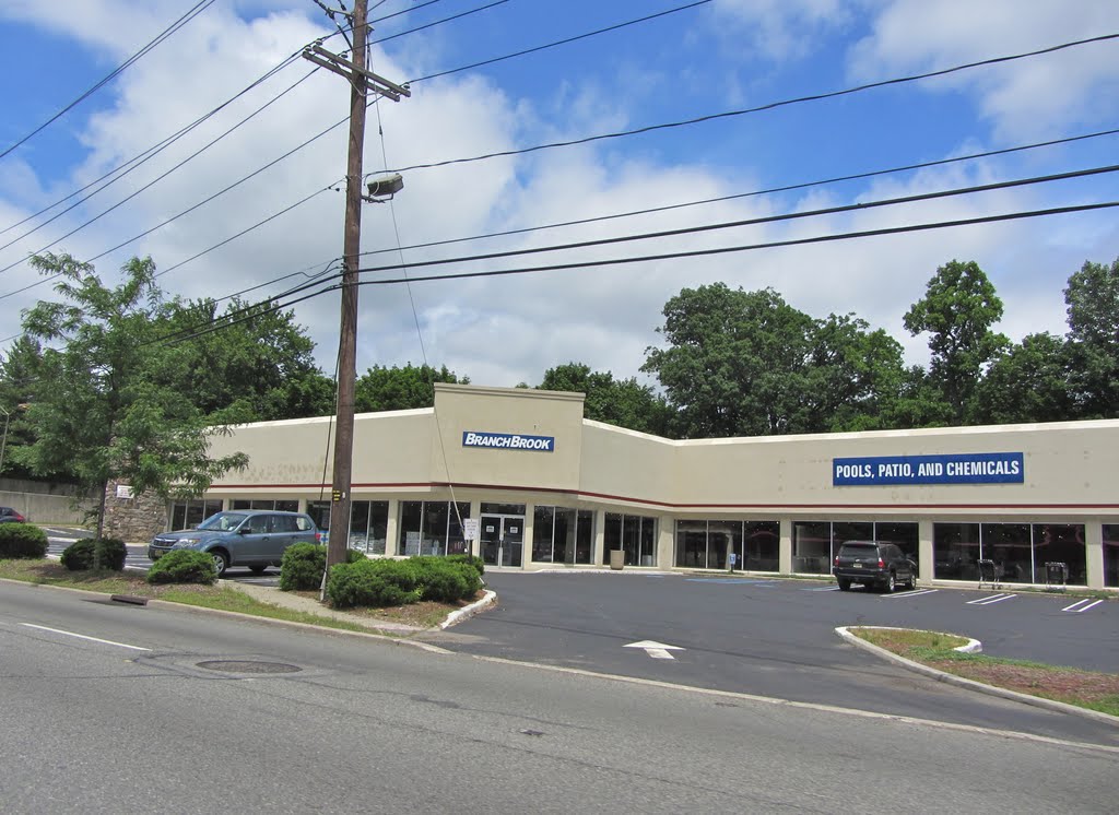 Branch Brook Pool