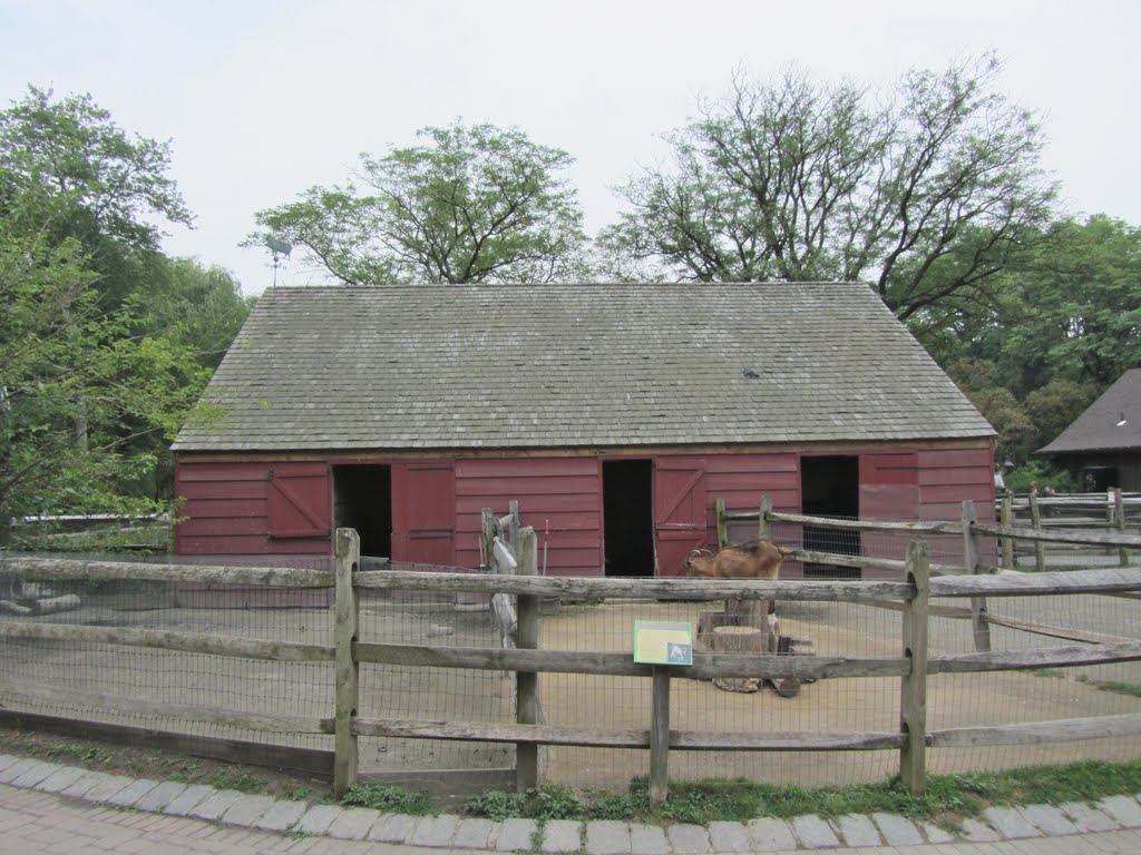 Bergen Co Farmyard