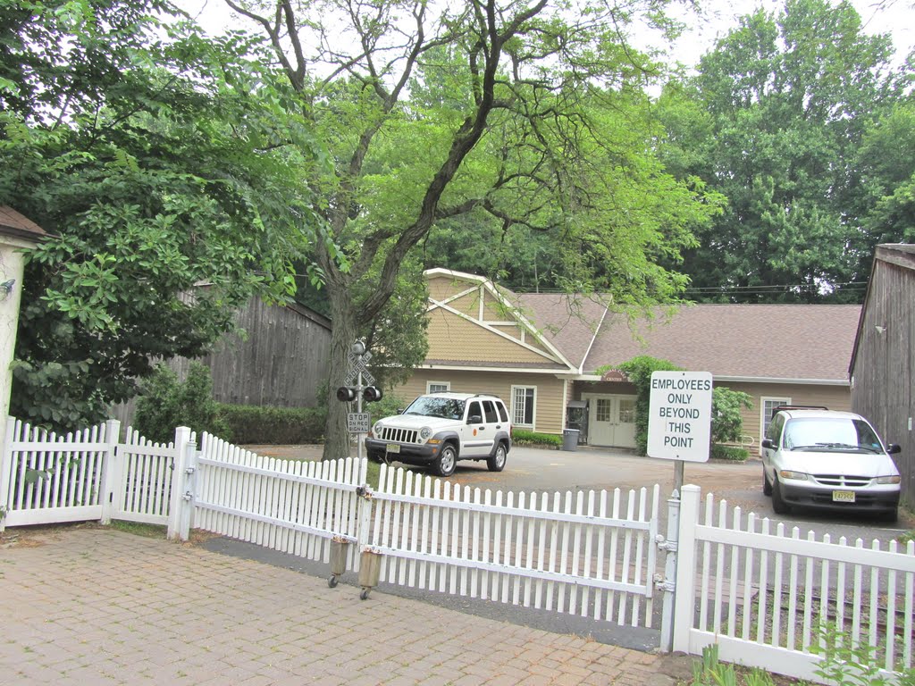 Zoo Back Offices