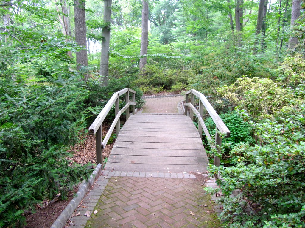 Washington Spring Garden