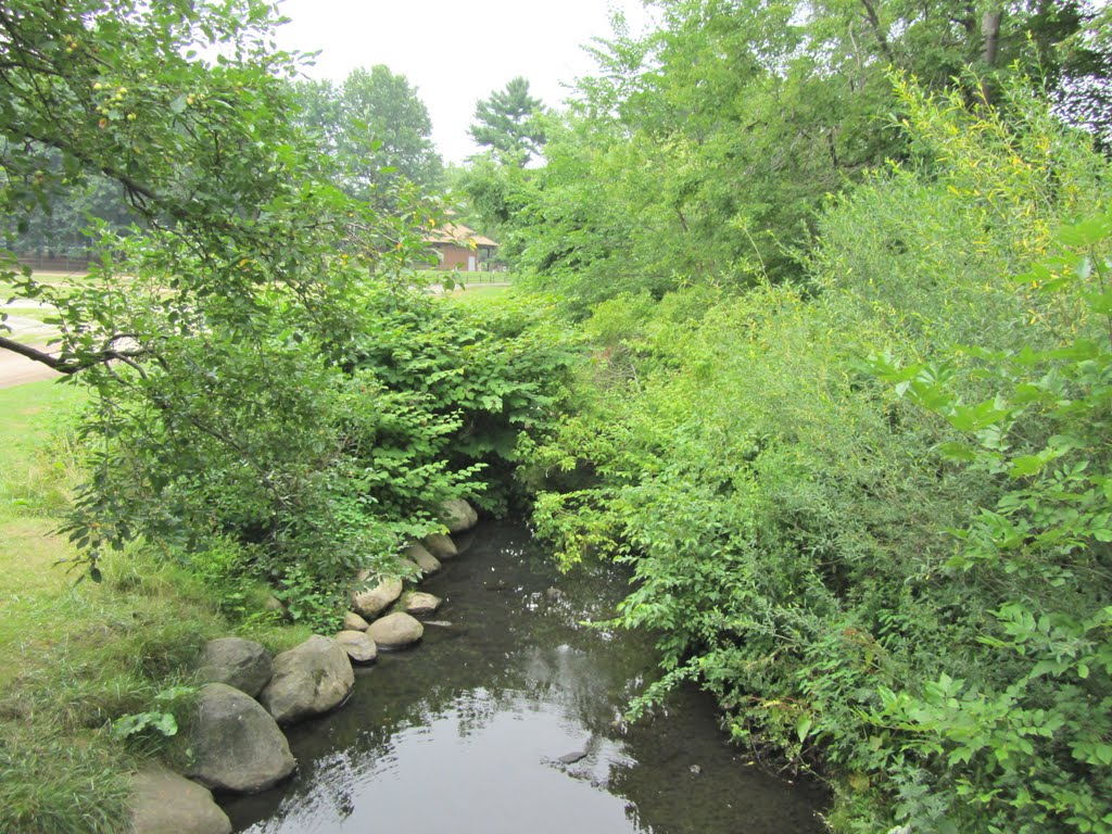 Van Saun Park