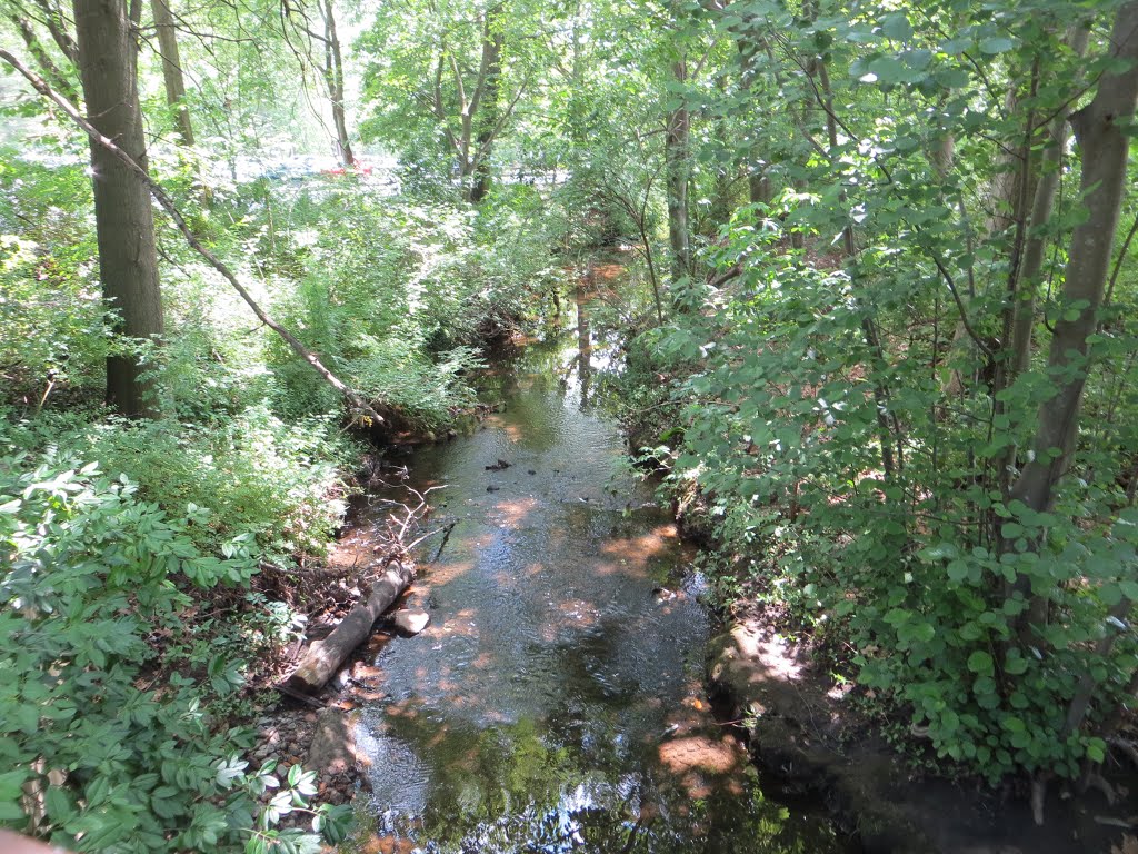 Creek
