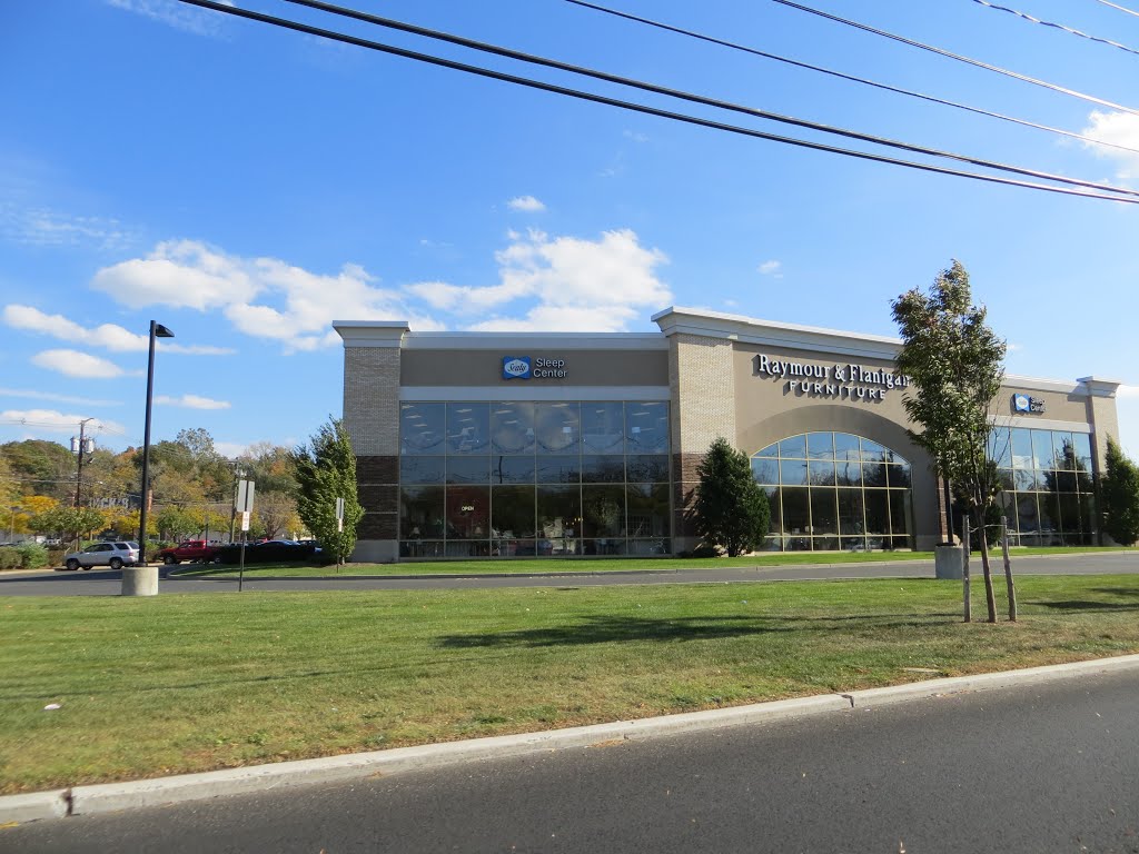 Raymour and Flanigan Furniture Paramus