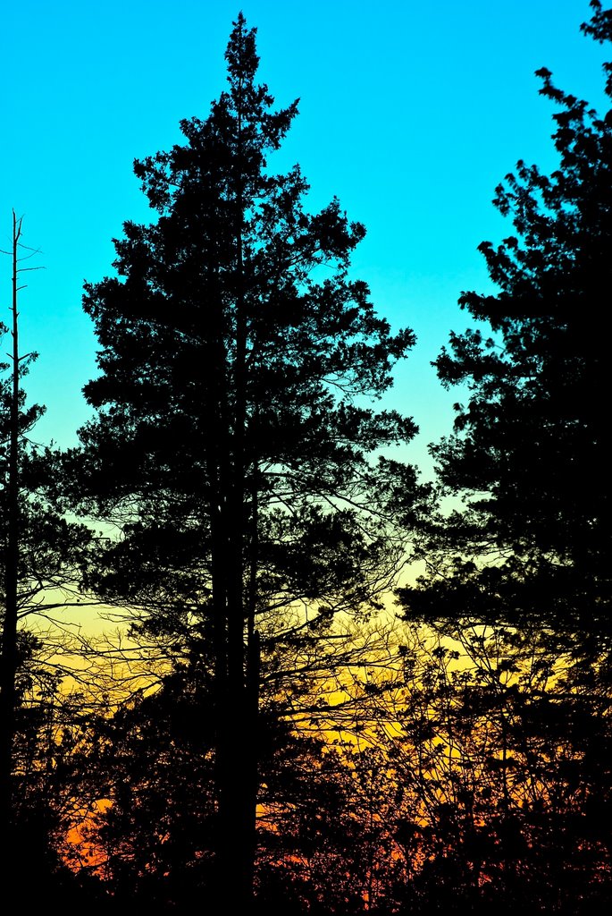 Sunset in Garrett Mountain