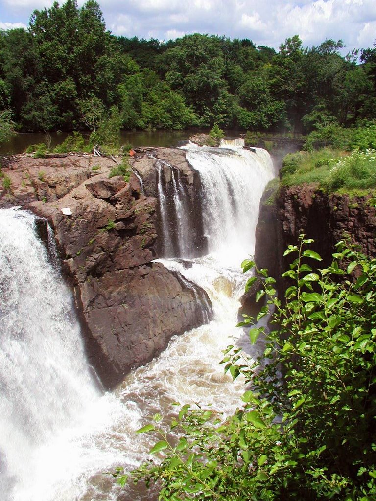 The falls from the walking bridge