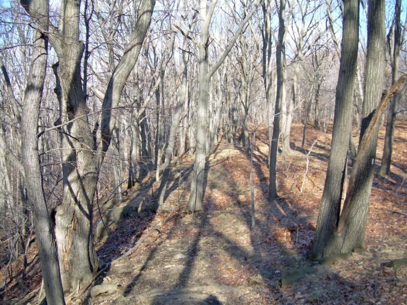 Garrett Mountain Reservation