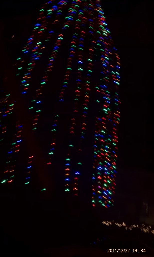 Hopewell tree