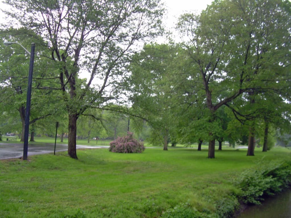 Cedar Brook Park