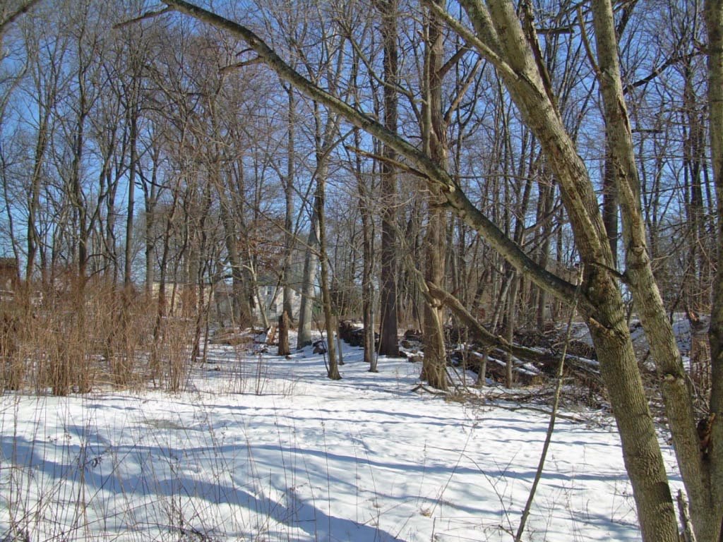 Cedar Brook Park