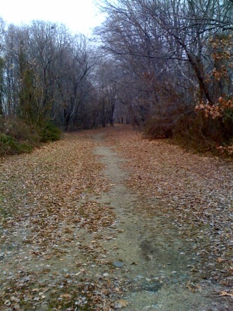 swedes lake trail