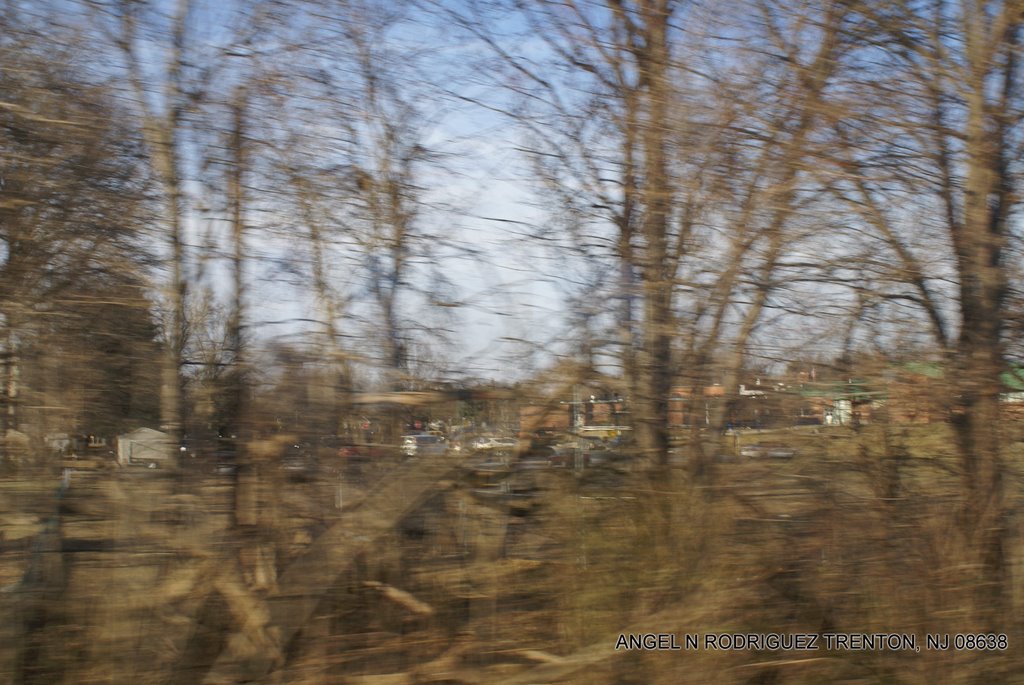 View from the Riverline