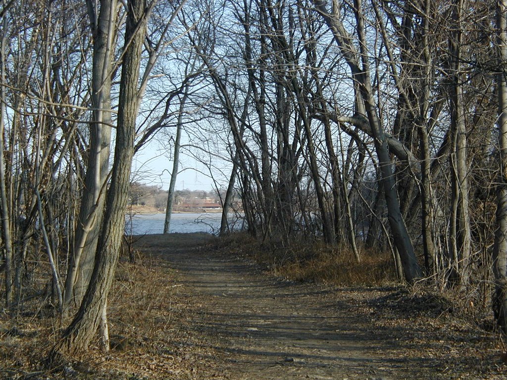 Amico Island trail