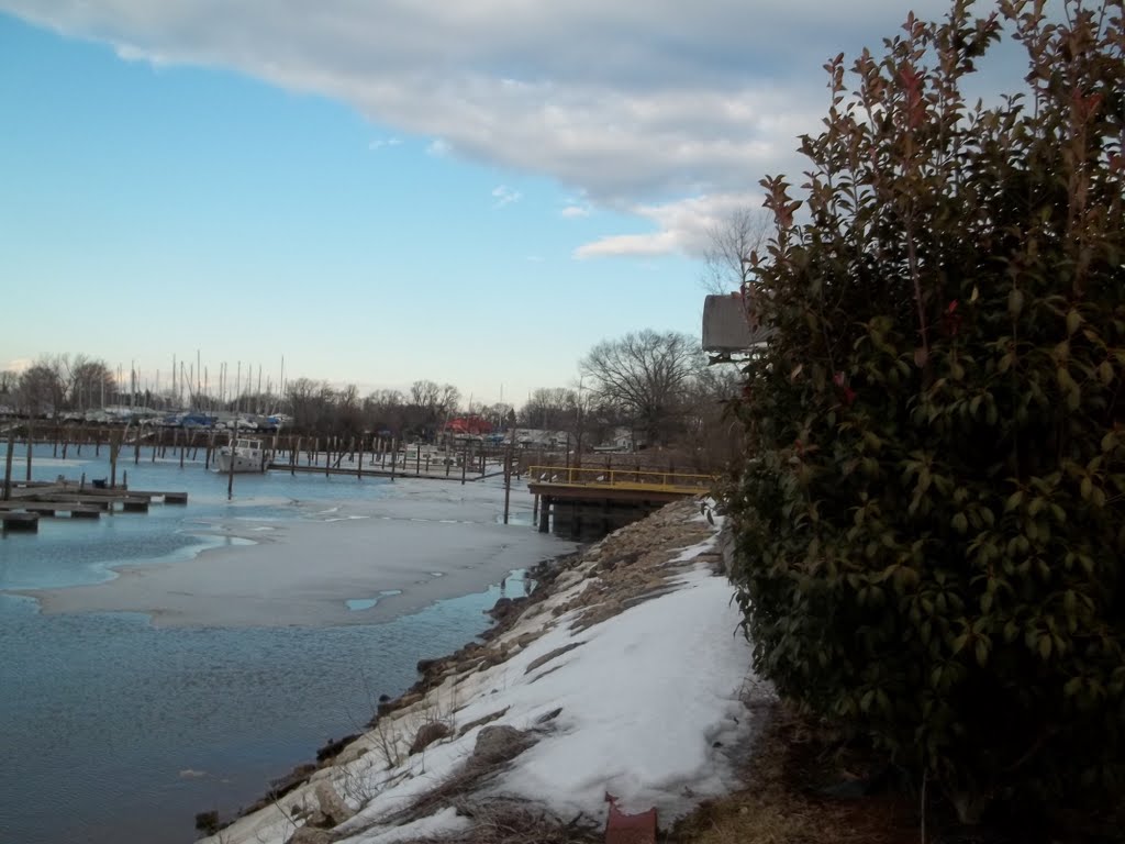 Dredge Harbor, Delran, NJ USA  14 February 2011