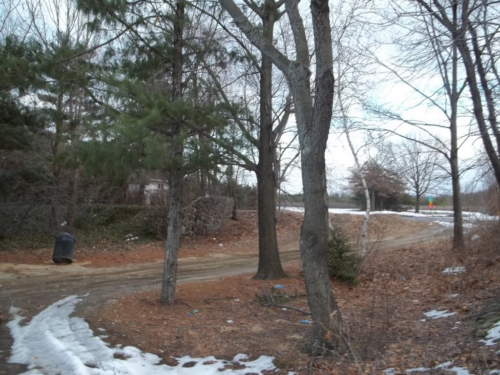 Swedes Lake, Delran NJ USA February 14th, 2011