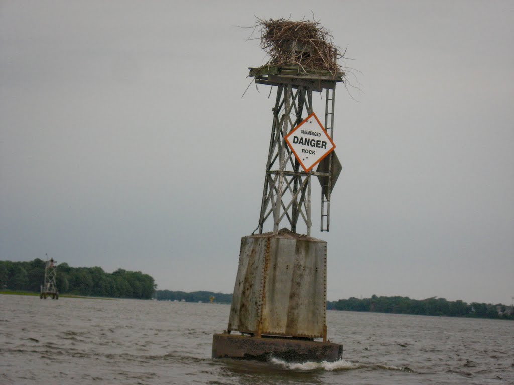 Osprey nest on a buoy