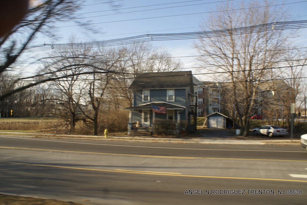 View from the Riverline