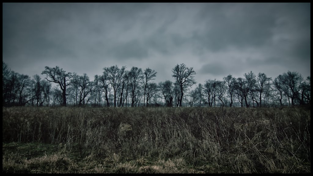 Taylor Farm nature preserve