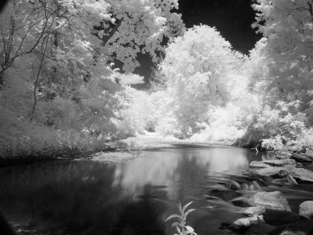 Part of the Saddle River