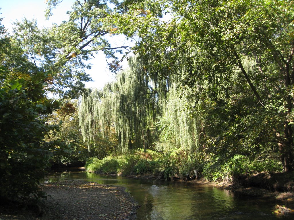 Saddle River County Park Trail