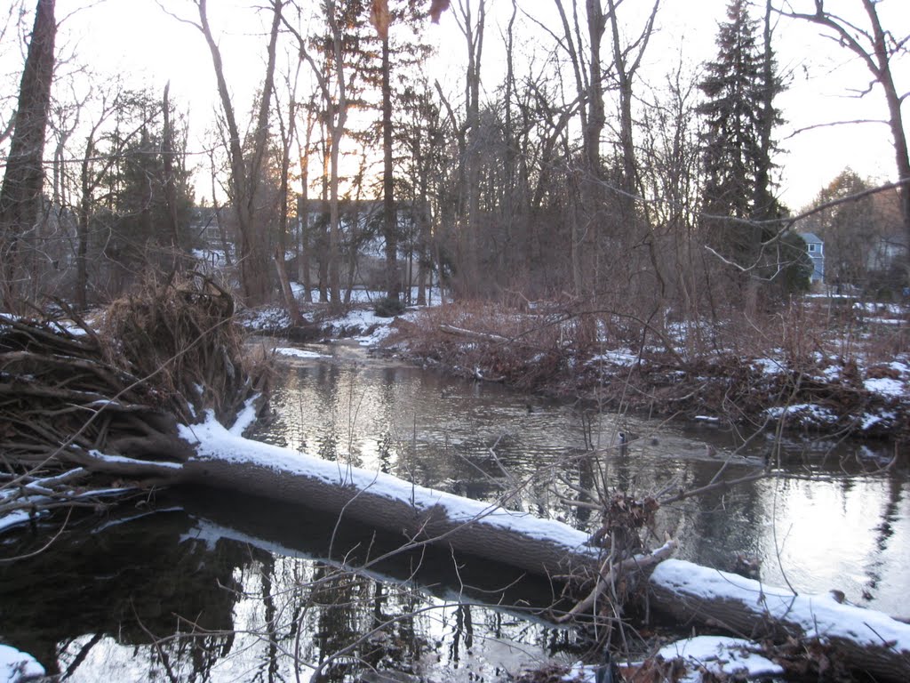 On Eagle Trail