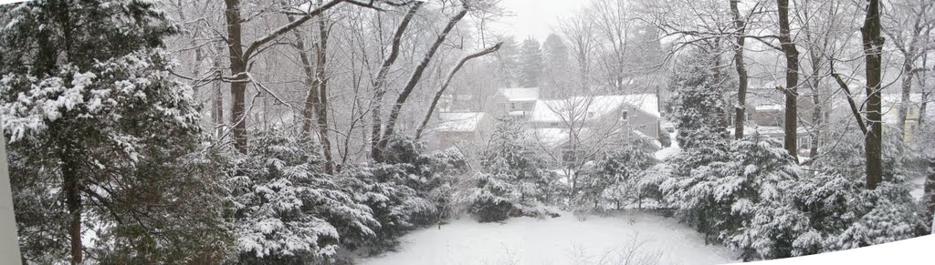 Winter Wonderland
