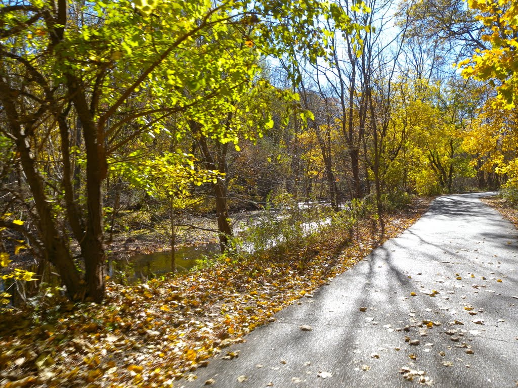 Saddle River Park Bike Path