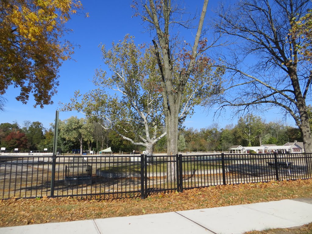Graydon Pool