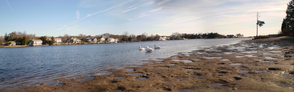 beachwood 1