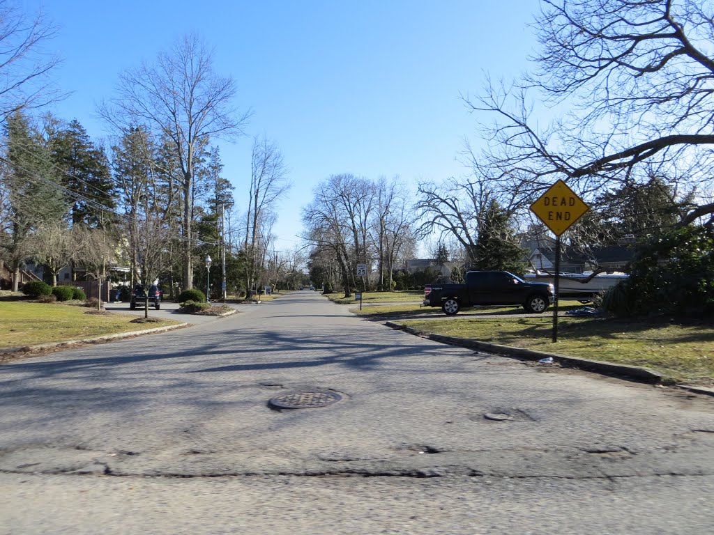 Magnolia LN