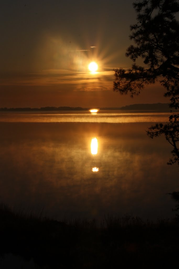 Misty Dawn