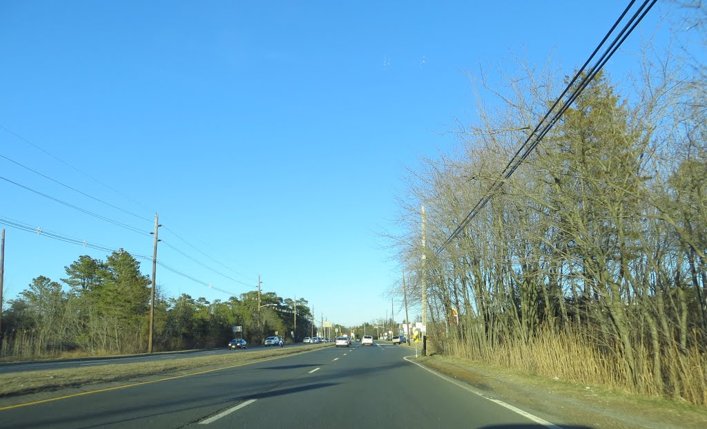 Hooper Avenue
