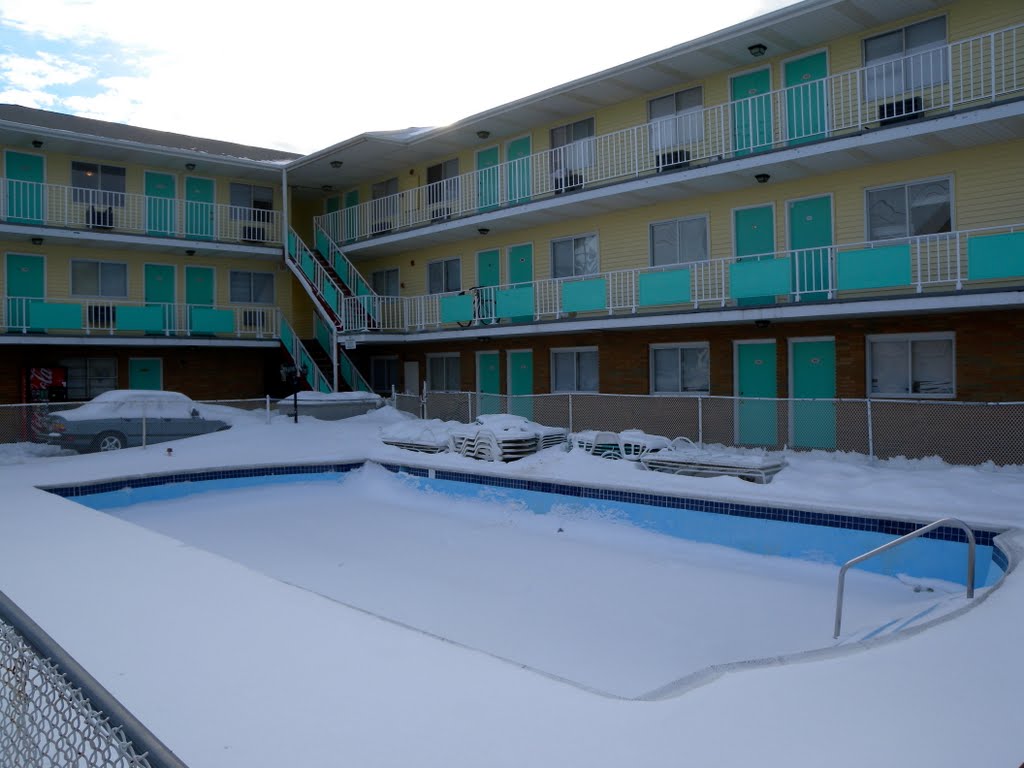 The Pool