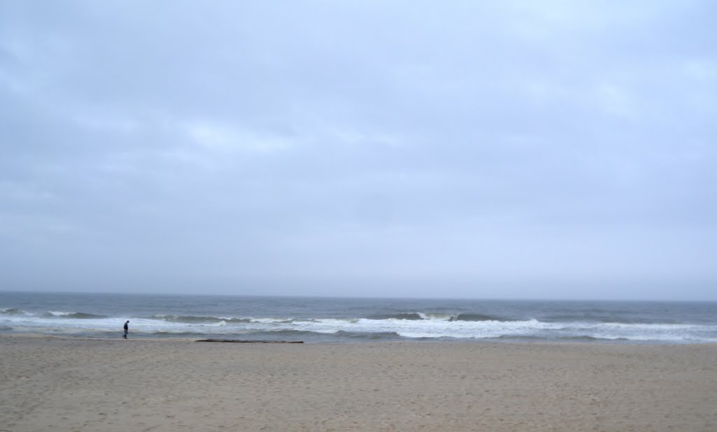 The Beach at Seaside