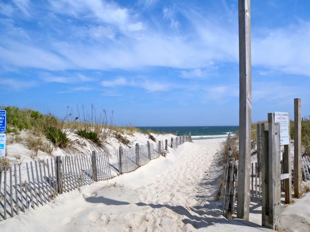 Out to the Beach