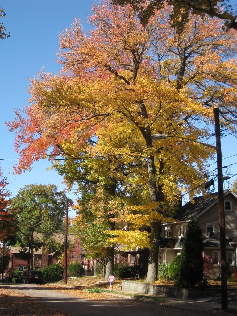 Sagamore Ave., Teaneck, NJ　自宅