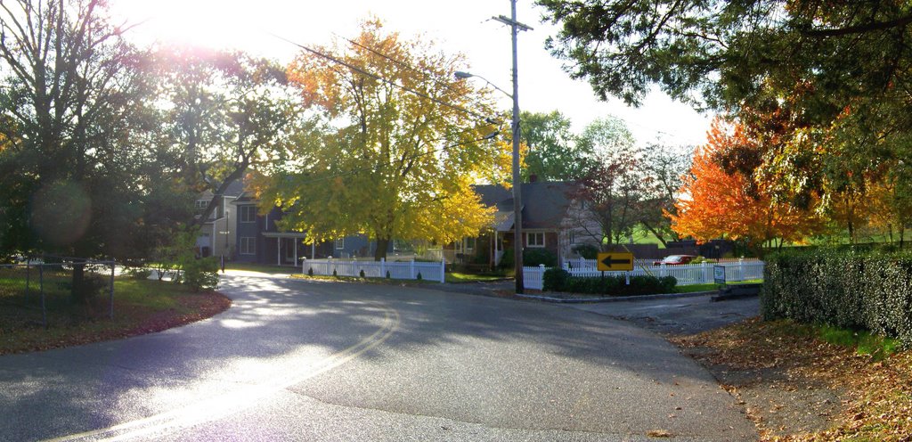 The bend on Point OWoods Drive