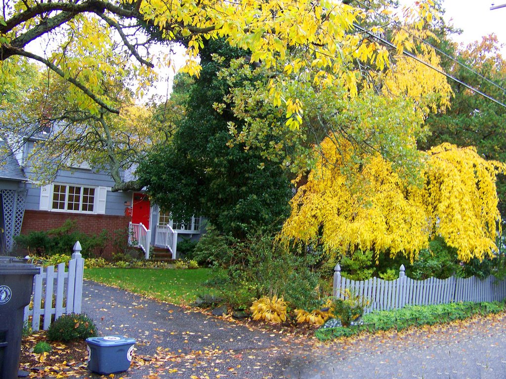 Automn beauty