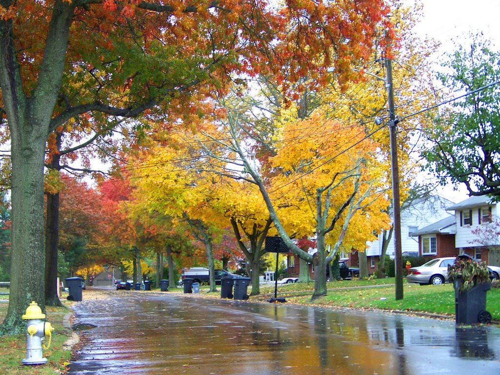 Automn rain