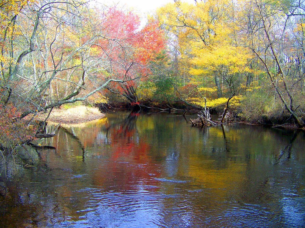 The river in autumn
