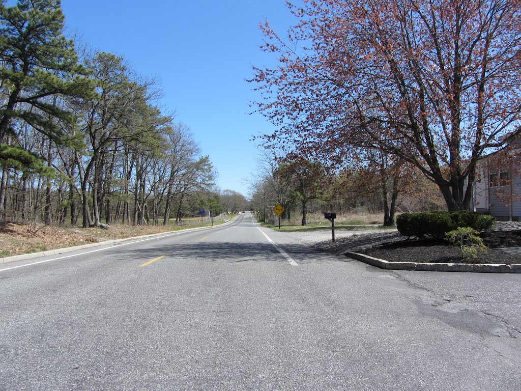 Washington Ave