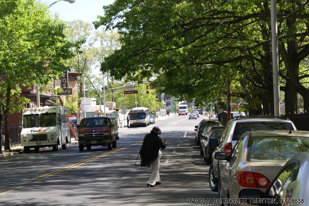S. CLINTON AVE LOOKING TOWARDS RAUL WALLENBERG AVE
