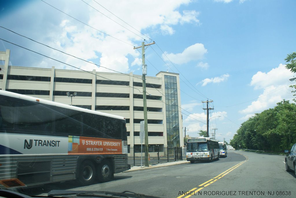 NJ TRANSIT BUSES