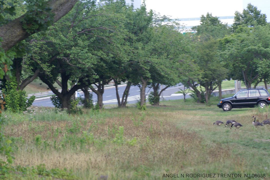 STACY PARK RT 29 SOUTH