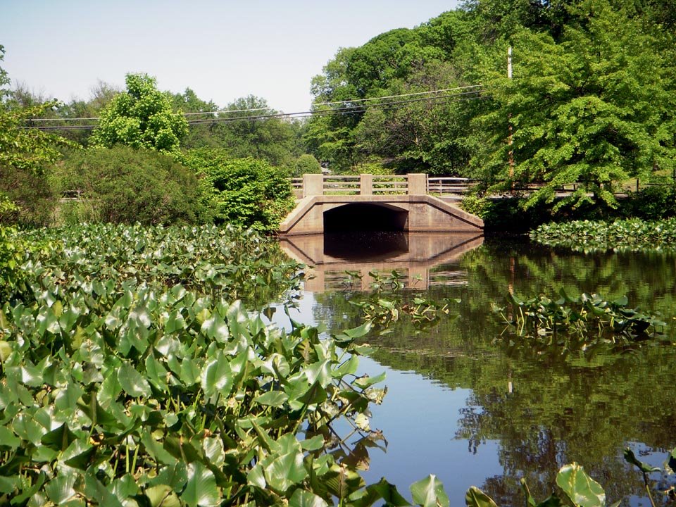 Newton Lake Park, NJ  (10)