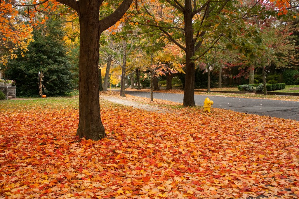 Fall 2010