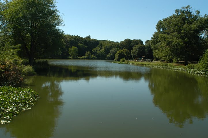 Newton Creek At Lees Lane